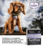FortiFlora Canine 30 saszetek