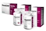 Hepatiale Forte 40 tabletek