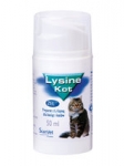 Lysine kot