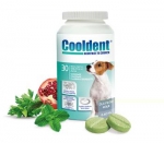 Cooldent 30 tabletek do żucia