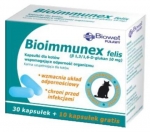 Bioimmunex felis 40 kapsułek