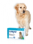 Fypryst spot on dla psów 20-40kg