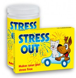 Stress Out